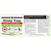 INSECT STICKY TRAP